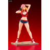 SNK Heroines Tag Team Frenzy - Terry Bogard figure Bonus Edition, Bishoujo