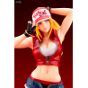 SNK Heroines Tag Team Frenzy - Terry Bogard figure Bonus Edition, Bishoujo