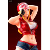 SNK Heroines Tag Team Frenzy - Terry Bogard figure Bonus Edition, Bishoujo