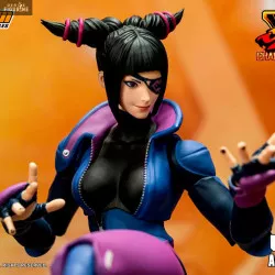 Street Fighter V Champion...