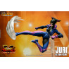 Street Fighter V Champion Edition - Figurine Juri Han