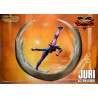 Street Fighter V Champion Edition - Figurine Juri Han