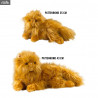 Peluche Harry Potter - Pattenrond, disponible en deux tailles