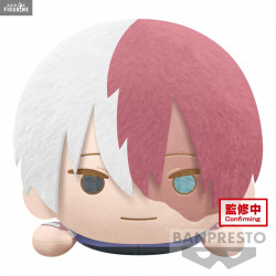 My Hero Academia - Shoto...