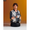 Solo: A Star Wars Story - Mini buste au choix, Han Solo ou Chewbacca