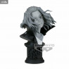 Tokyo Revengers - Figure Manjiro Sano Mikey A or B, Faceculptures