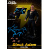 DC Comics - Figure Black Adam, Dynamic 8ction Heroes