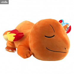 Pokemon - Sleeping...