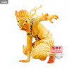Naruto Shippuden - Uzumaki Naruto figure, Panel Spectacle