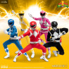 Mighty Morphin Power Rangers - Pack 5 figures Deluxe Steel Box Set, One:12