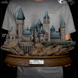 Harry Potter and the...