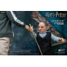 Harry Potter - Figurine Griphook (Banker), My Favourite Movie