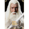 Le Seigneur des Anneaux - Pack figurines Gandalf le Blanc, The Crown Series