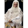 Le Seigneur des Anneaux - Pack figurines Gandalf le Blanc, The Crown Series