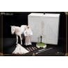 Le Seigneur des Anneaux - Pack figurines Gandalf le Blanc, The Crown Series