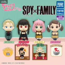 Spy X Family - Random...
