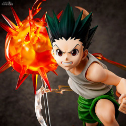 Hunter x Hunter - Gon...