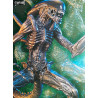Figure Alien, SSS