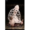The Mushroom Girls - Figurine Dictyophora Indusiata