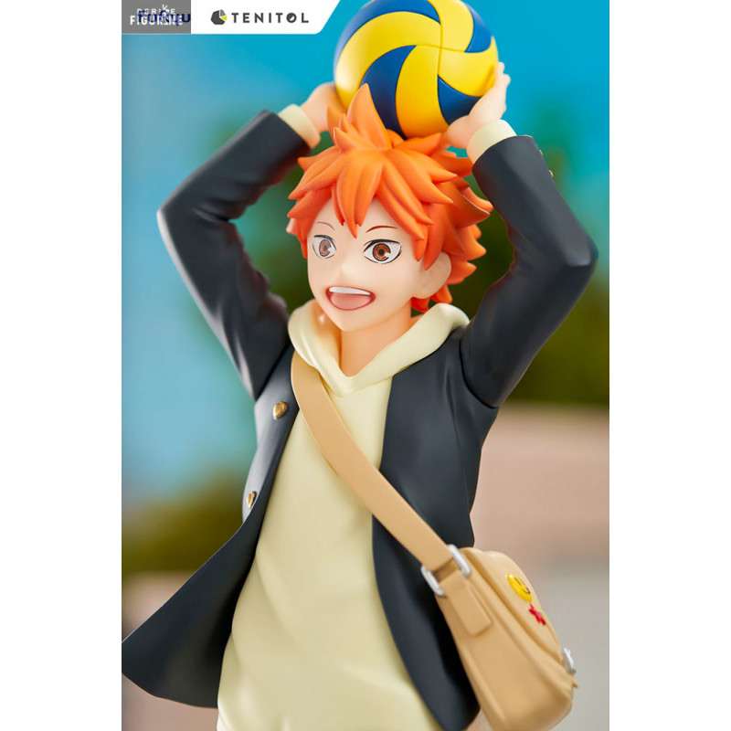 Haikyu!! - Figurine Shoyo...