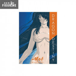 Poster Ikki Tousen: Dragon...