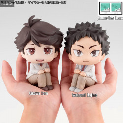 Haikyu!! - Iwaizumi Hajime,...