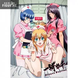 Poster Ikki Tousen : Dragon...