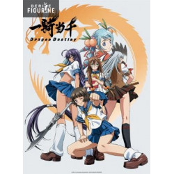Poster Ikki Tousen: Dragon...