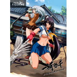 Poster Ikki Tousen : Dragon...