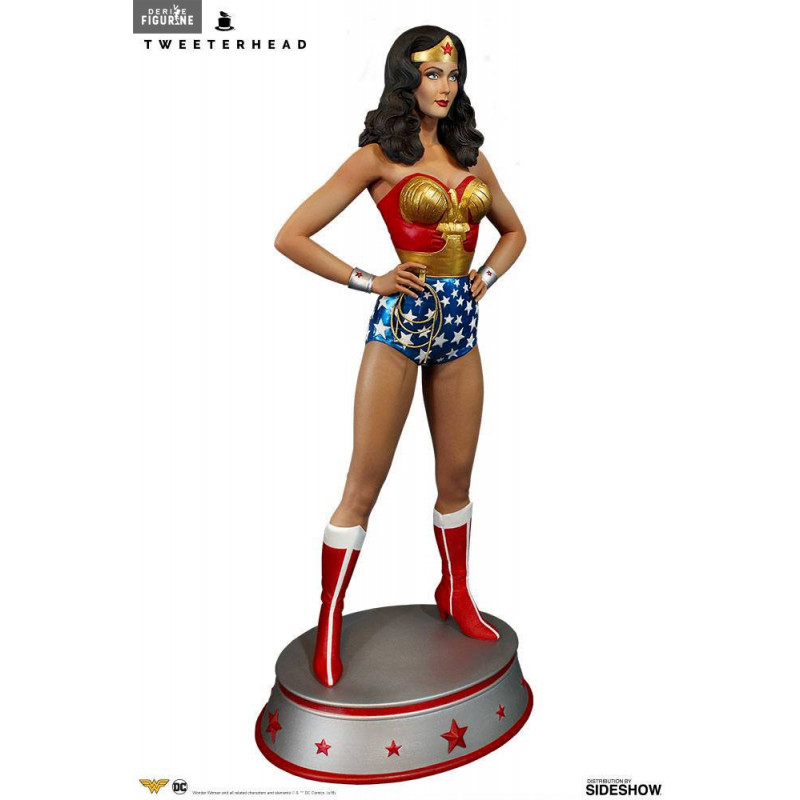 DC Comics - Figure Wonder...