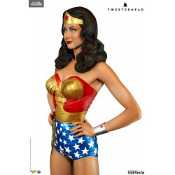 DC Comics - Figurine Wonder...