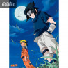 Poster Naruto - Naruto Uzumaki and Sasuke Uchiwa