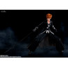Bleach - Figurine Ichigo Kurosaki (Bankai) ou Renji Abarai, S.H Figuarts
