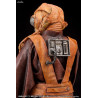 Star Wars - Bounty Hunter Zuckuss figure, ARTFX+