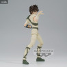 Saint Seiya - Figurine Pegasus Seiya TV Anime Episode 1, Saint Cosmo Memoir