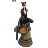 DC Comics, Batman - Catwoman figure, DC Gallery