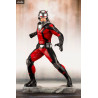 Marvel - Figure Ant-Man and The Wasp, ARTFX+