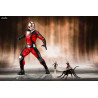 Marvel - Figure Ant-Man and The Wasp, ARTFX+