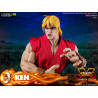 Street Fighter - Figure Ken Masters