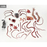 The Thing - Thing Dog Creature figure, Ultimate Deluxe