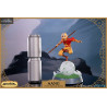 Avatar: The Last Airbender - Figure Aang Standard or Collector's Edition