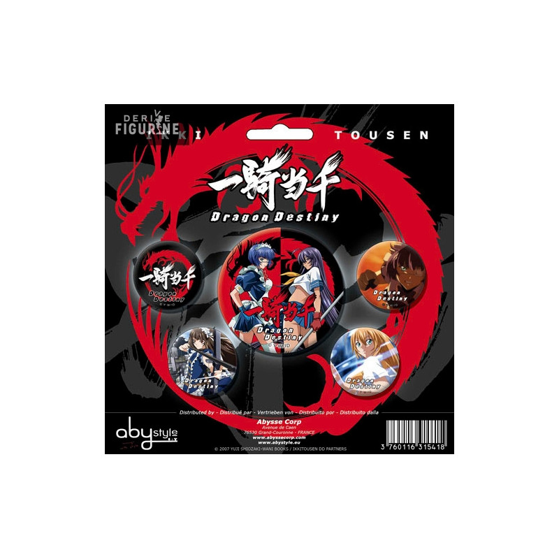 Badges Ikki Tousen: Dragon Destiny - Les héroïnes