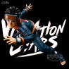 Naruto Shippuden - Figure Kakashi Ⅲ or Obito, Vibration Stars