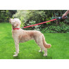 Star Wars - Light dog leash, available in three colors