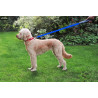 Star Wars - Light dog leash, available in three colors