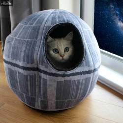 Star Wars - Panier pour...