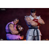 Street Fighter - Pack figures Ryu & Dan