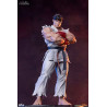 Street Fighter - Pack figures Ryu & Dan