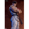 Street Fighter - Pack figures Ryu & Dan
