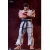 Street Fighter - Pack figures Ryu & Dan